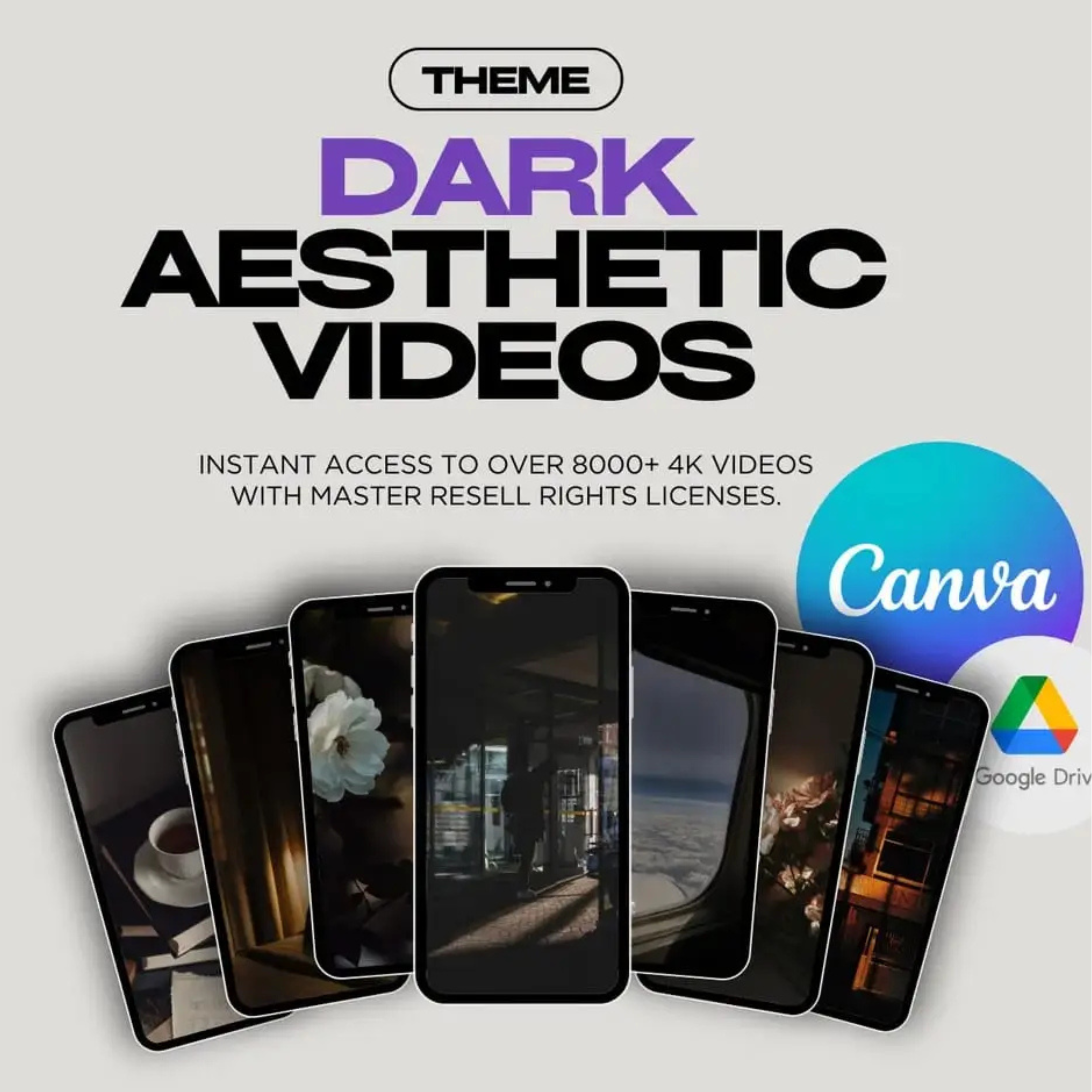 Aesthetic Reels Video Pack – 8,000+ MRR & PLR Templates