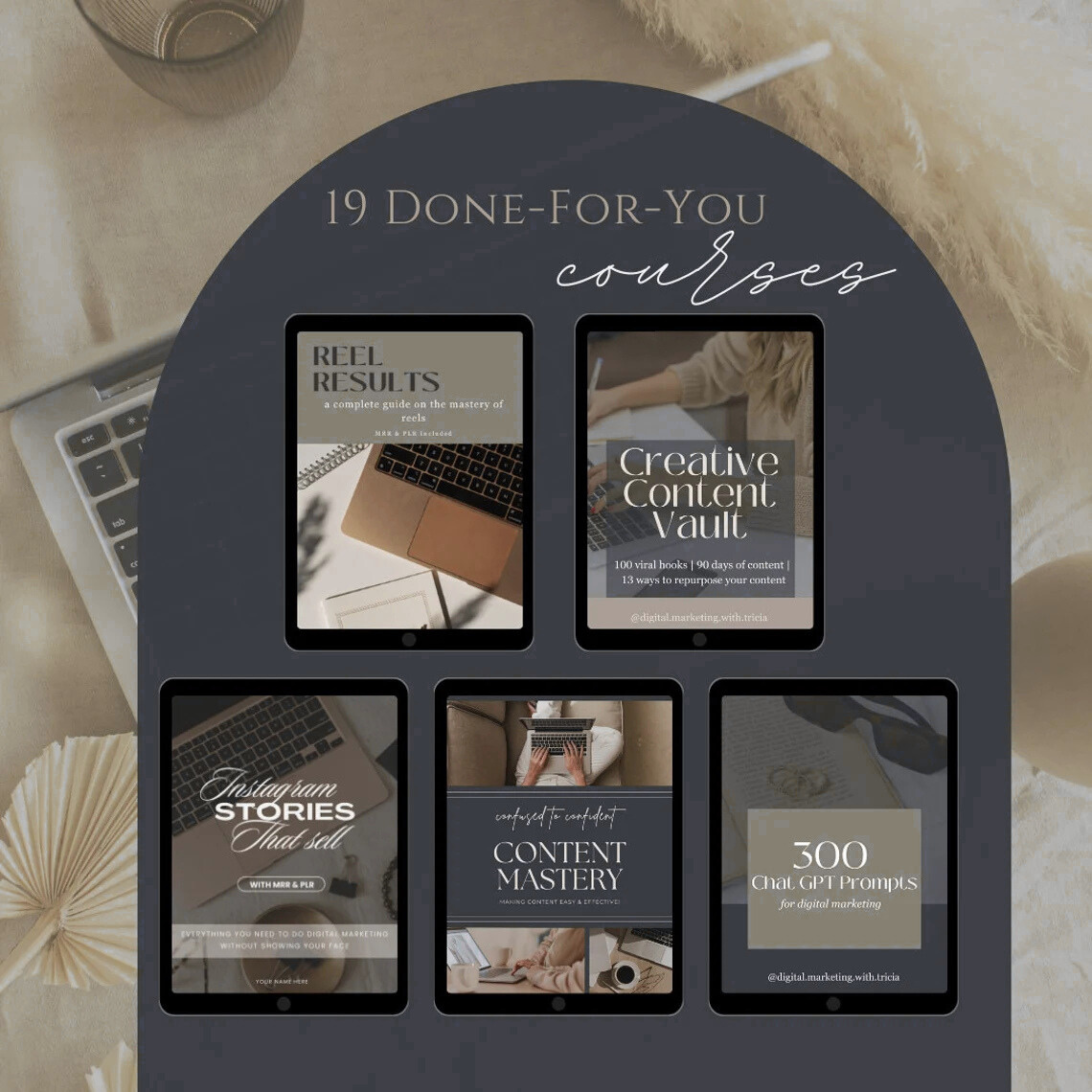 PLR Digital Marketing Course Bundle with MRR Rights