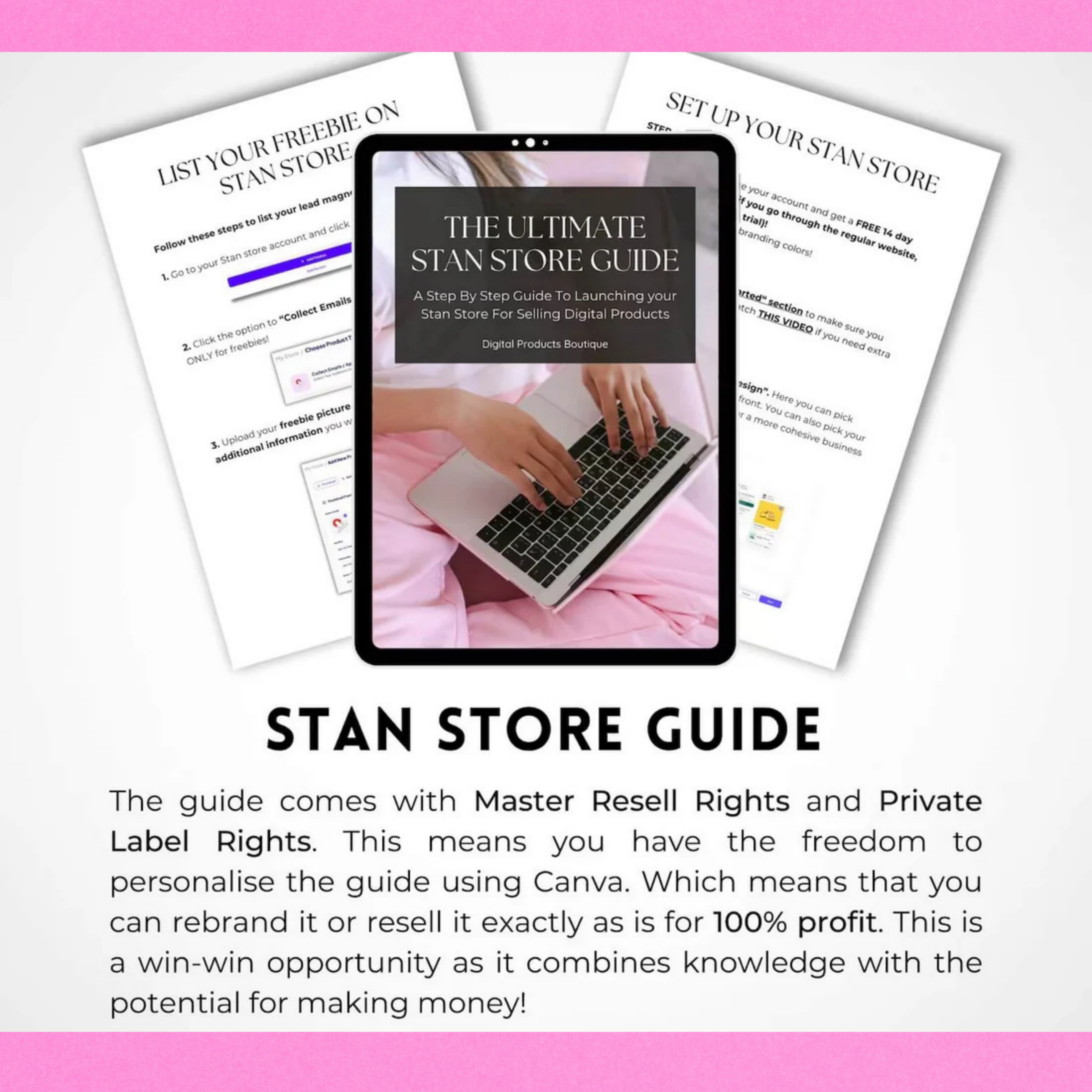 The Ultimate Stan Store Guide PLR & MRR + CANVA Crash Course | DFY Digital Marketing Product