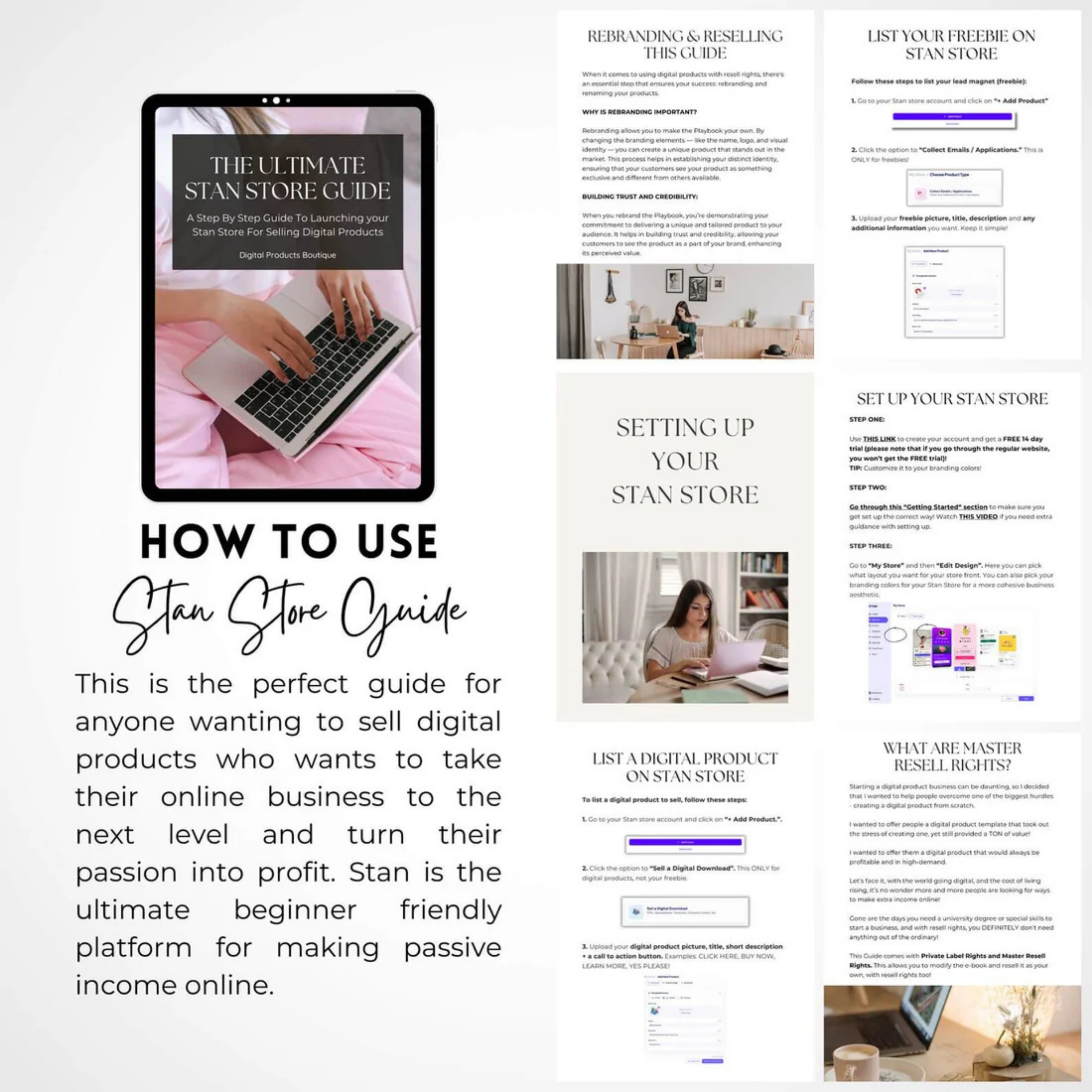 The Ultimate Stan Store Guide PLR & MRR + CANVA Crash Course | DFY Digital Marketing Product