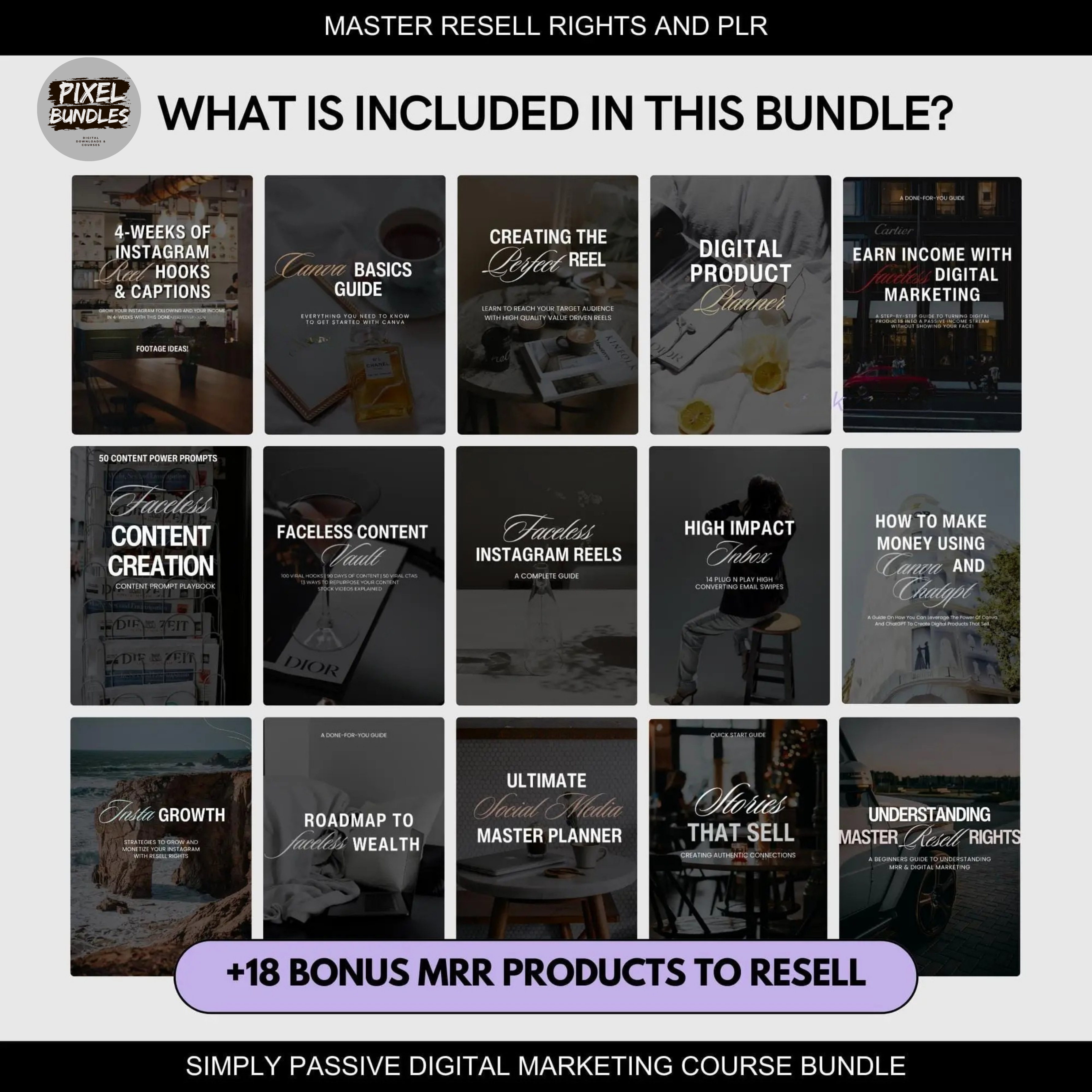 Simply Passive Digital Marketing Course with MRR & PLR