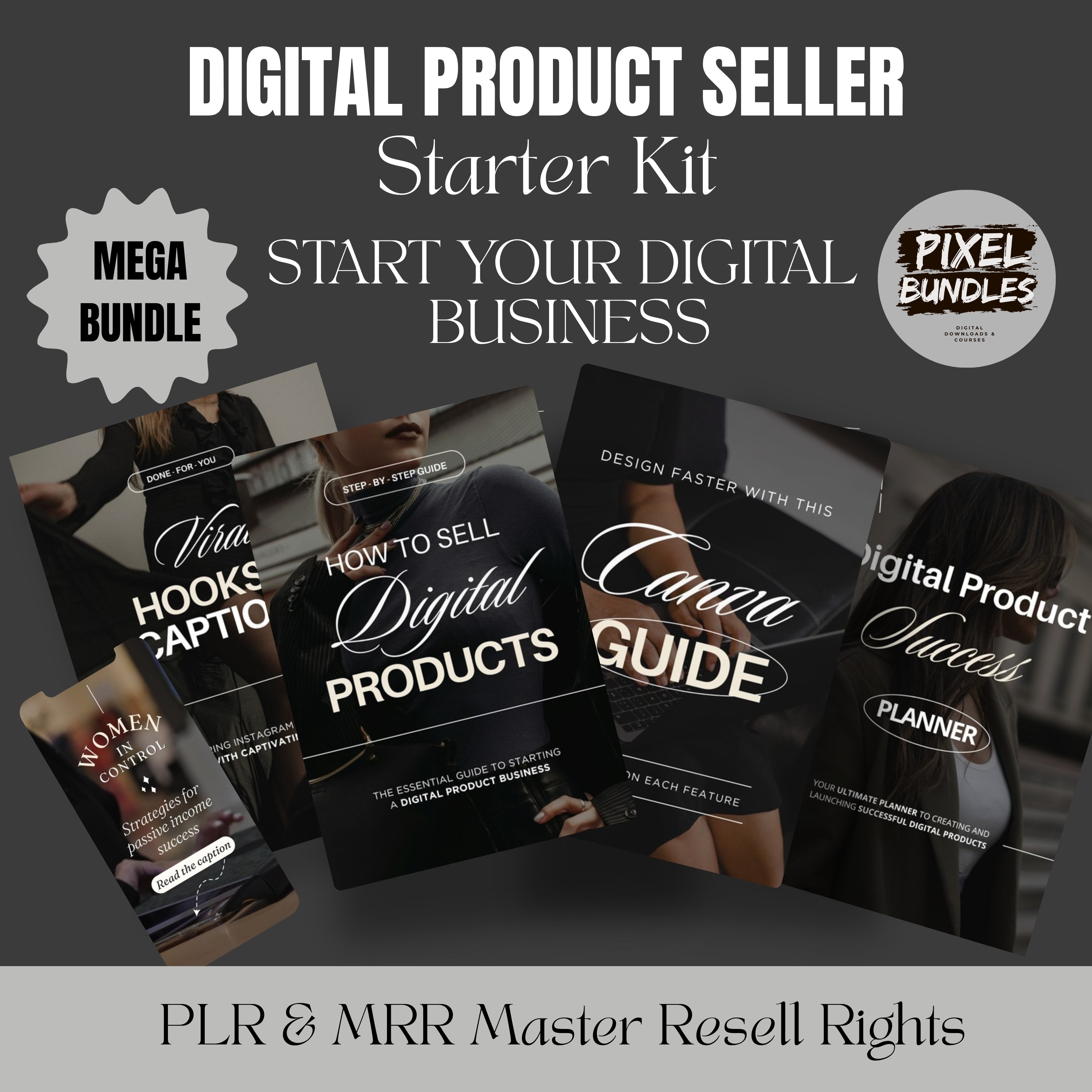 Digital Marketing Seller Starter Guide PLR & MRR